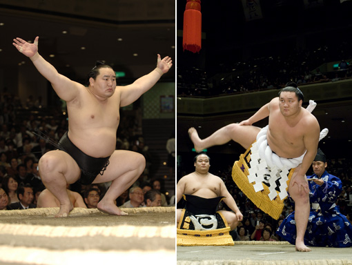 090315_sumo_01.jpg
