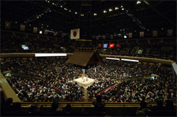 090315_sumo_02.jpg